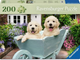Puzzle Ravensburger Golden Retriever 200 elementów 12001368 (4005555013686) - obraz 1