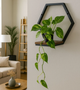 Kwietnik ścienny ModernHome by Multistore ME-ATS02 półka wisząca w kształcie heksagonu w ozdobie Loft (5905817007585) - obraz 10