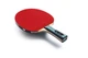 Ракетка для настільного тенісу Team Butterfly Advance FL (6256900002) - изображение 2