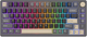 Klawiatura bezprzewodowa RK ROYAL KLUDGE M75 RGB K Silver Switch Phantom (RK-M75-PHNTM-KSLVSW-US) - obraz 1