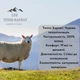Набор носков женских теплых высоких шерстяных Лео Тепло Карпат Шерсть 36-40 6 пар Графитовый/Тёмно-синий/Серо-чёрный меланж/Светло-серый/Синий меланж/Тёмно-коричневый (ROZ6501063036) - изображение 3