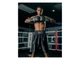 Боксерські труси TITLE Boxing Edge Boxing Trunks 2.0 XL чорний (5457) - зображення 3