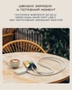 Ремешок-кабель Satechi On-the-Go USB-C 60W Sand (1.5 m) (ST-LOTGLW) - изображение 8