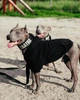 Одежда для собак Худи "LEKS BIG BLACK". SKU 00751. Размер 2XL. Your Stylish Hunter. Худи для собак средних пород. - изображение 5