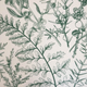 Komplet pościeli Homla Liliane Essentials Poszewka na pościel 160 x 200 cm + 2 poszewki na poduszki 70 x 80 cm z mikrofibry w liście Zielony (5906496741432) - obraz 2
