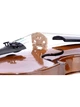 Скрипка STENTOR 1500/A STUDENT II VIOLIN OUTFIT 4/4 - изображение 5