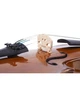Скрипка STENTOR 1500/C STUDENT II VIOLIN OUTFIT 3/4 - изображение 6