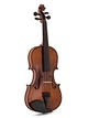 Скрипка STENTOR 1542/E GRADUATE VIOLIN OUTFIT 1/2 - изображение 1