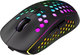 Мышка Canyon Haster GMW-18 Wireless Black (CND-SGMW18) 318140 - изображение 2