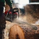 Цепная ручная бензопила для дома Maltec MasterCut5700W - изображение 5