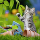 Пазл Ravensburger Кошенята 3 x 49 елементів 8046 (4005556080465) - зображення 4