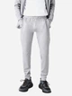 Спортивные штаны мужские Lacoste 866828683 2XL Серые (1159846549) - изображение 1