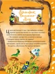 Велика книжка про пори року - Анна Казаліс (9789669821935) - изображение 6
