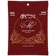 Струны для классической гитары Martin M265 Magnifico Premium Normal Tension - изображение 1