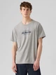 Футболка хлопковая мужская Levi`s Relaxed Graphic Tee 16143-1682 L Пепельный серый (5401187351070) - изображение 1