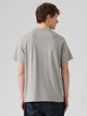 Футболка хлопковая мужская Levi`s Relaxed Graphic Tee 16143-1682 L Пепельный серый (5401187351070) - изображение 2