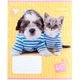 Зошит шкільний 12 аркушів коса лінія Kite Studio Pets SP24-235, - изображение 1