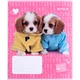 Зошит шкільний 12 аркушів коса лінія Kite Studio Pets SP24-235, - изображение 4