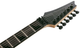 Электрогитара Ibanez GRGR330EX BKF - изображение 6