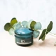 Протеиновый крем для восстановления поврежденных волос SH-RD Protein Cream 80 мл (652418102281) - изображение 8