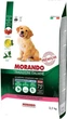Сухий корм для цуценят усіх порід Morando Tradizioni Puppy з куркою та яловичиною 2.5 кг (8007520027588) - зображення 1