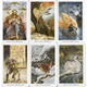 Карти Таро Дикого Лісу / THE WILDWOOD TAROT (CARDS & BOOK SET) 03492 - изображение 2