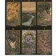 Карти Таро таємного лісу / Tarot of the Secret Forest 03446 - зображення 2