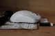 Ігрова миша бездротова VGN Dragonfly F1 MOBA White - изображение 4