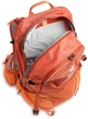 Рюкзак Deuter Futura 32 (Chestnut/Mandarine) (DT 3400821 9907) - изображение 4
