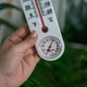 Комнатный термометр с гигрометром Bioterm ПР025300 жидкостный, -20°C…+50°C, 25 см, белый - изображение 3