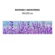 Наклейка на кухонный фартук 60 х 250 см, фотопечать с защитной ламинацией Полевая лаванда (БП-s_fl11675-1)(БП-12-s_fl11675) - изображение 4