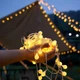 Світлодіодна гірлянда Crown 40 LED 6 м USB Теплий Білий (WLS-2148W6) - зображення 3
