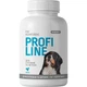 Витамины ГАГ Комплекс ProVET Profiline для суставов и связок для собак, 100 таблеток - изображение 1
