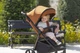 Прогулочная коляска CARRELLO Bravo CRL-5515 Storm Grey 2024 NF /1/ - изображение 4