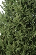 Ялинка лита "Віденська" Зелена 3,00м (SG2911180035301) ТМ SigaGroup - зображення 14