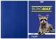 Папір кольоровий А4 Buromax DARK 80гм2 темно-синій 50л. (BM.2721450-02) - зображення 2