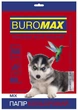 Бумага цветная Buromax DARK+PASTEL А4 80г/м2 10цв. 50л. (BM.27211150-99) - изображение 1