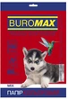 Бумага цветная Buromax DARK+INTENSIV А4 80г/м2 10цв. 50л. (BM.2721950-99) - изображение 3
