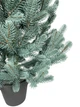 Литая искусственная елка Traditional в горшке 70 см голубой (Н01020) - изображение 4