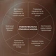 Комплекс для борьбы с отеками и тусклости кожи Глиняная маска, Гель, Сыворотка Hillary Anti-Puffiness & Dullness Skin Care Complex K-11-575 - изображение 6
