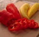 Семена Перец горький Хариет 0,4 г Тирас Moravo Seed - изображение 3