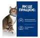Вологий корм Hill's Prescription Diet s/d для котів, догляд за сечовидільною системою, з куркою, 12х85 г - зображення 2