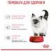 Вологий корм для кошенят Royal Canin Kitten Instinctive у соусі 12 шт х 85 г - зображення 2