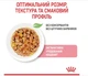 Вологий корм для кошенят Royal Canin Kitten Instinctive у соусі 12 шт х 85 г - зображення 3