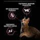 Сухой корм для кошек с чувствительным пищеварением Purina Pro Plan Cat Adult Delicate Digestion Turkey с индейкой 1.5 (кг) - изображение 4