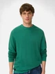 Джемпер мужской Camel Active Pullover 409500-6K00-38 M Зеленый (4063366117887) - изображение 1