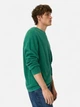 Джемпер мужской Camel Active Pullover 409500-6K00-38 M Зеленый (4063366117887) - изображение 4