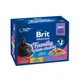 Консервированный корм Brit Premium Premium Cat pouch Влажный корм для взрослых кошек 12 шт х 100 г (1111143011) - изображение 1