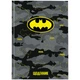 Дневник школьный твердый переплет Kite DC Comics DC24-262-2, 67502 - изображение 1