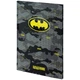 Дневник школьный твердый переплет Kite DC Comics DC24-262-2, 67502 - изображение 7